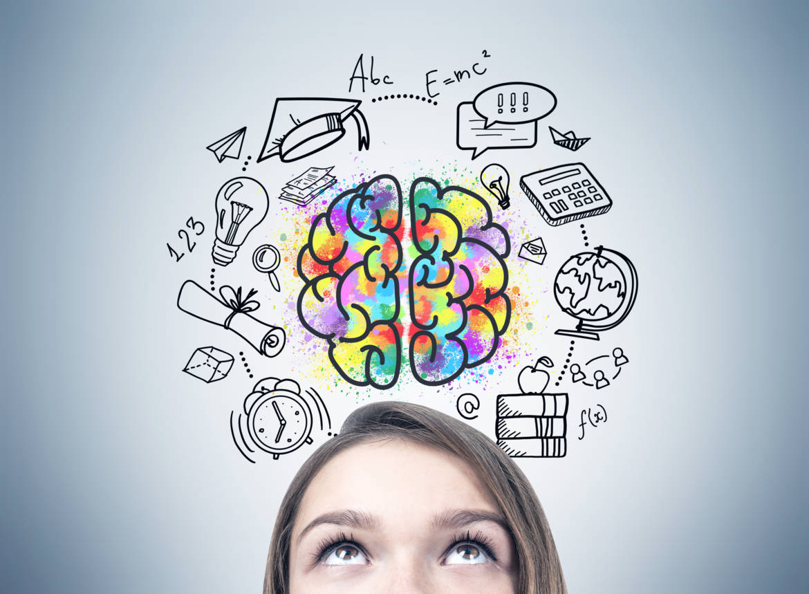 cerveau