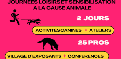 chien