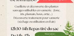 AFF
