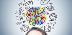 cerveau