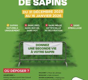 sapins