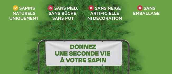 sapins